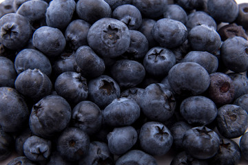 Freshly picked blueberries