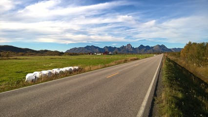 Strada in mezzo ai campi in Norvegia
