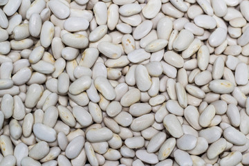 White beans background