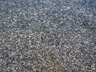 mare trasparente