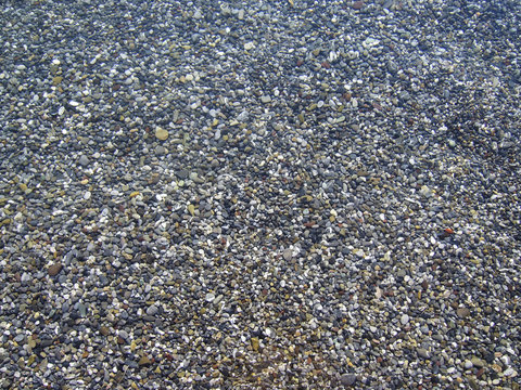 mare trasparente