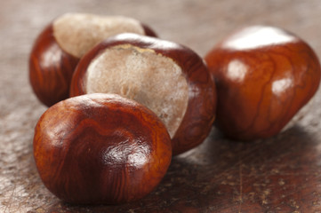 Horse chestnuts