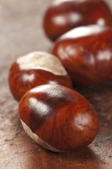 Horse chestnuts