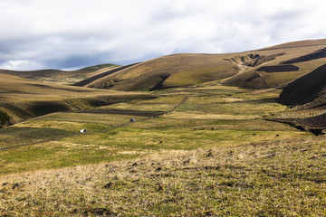 Crops in the moors