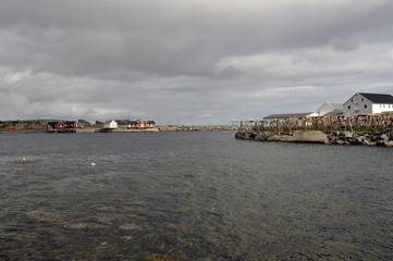 Norwegian nature / There are mountains plunging into the sea from hundreds of metres, fjords, tall...