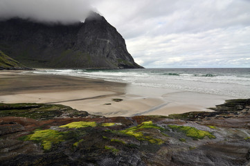 Norwegian nature / There are mountains plunging into the sea from hundreds of metres, fjords, tall...