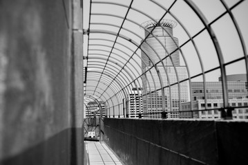 Atop the Foshay