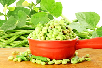 fresh green Black eye peas beans with plant in and out of the shell in white background