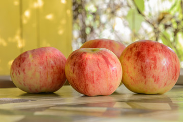 autumn red apples on the table