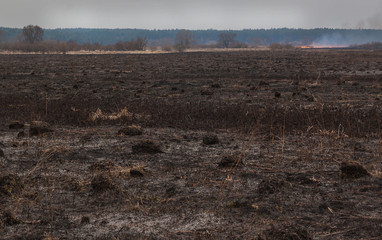 Fire on flood plains