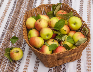 Basket with apples