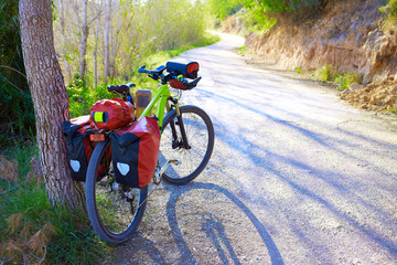  MTB Bicycle touring bike in a pine forest