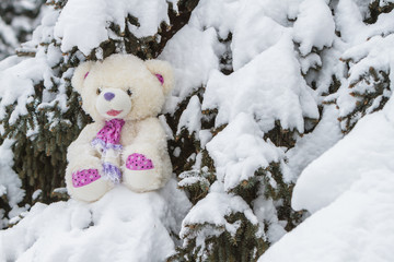 Teddy bear sitting in the snow on coniferous tree