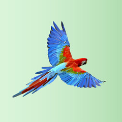 Flying  parrot. Colorful vector illustration  - 92046737