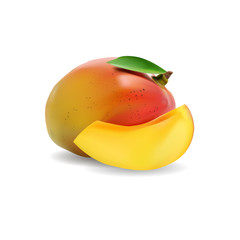 Mango. Realistic vector illustration. - 92046750