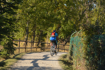 Obraz premium ruta en bicicleta por el campo