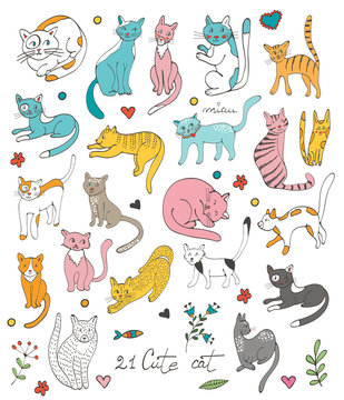 21 cute hand drawn cat colorful set with twigs flowers and
