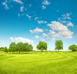 Fototapeta na wymiar Golf course. Spring field with green grass and blue sky