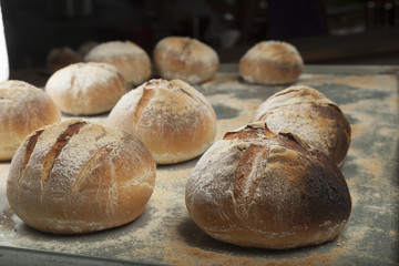 Freshly baked bread