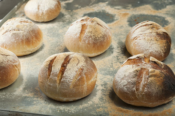 Freshly baked bread