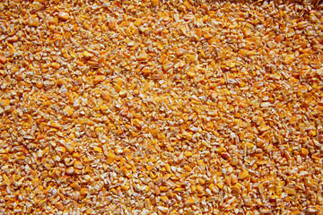 Corn seeds low milled seeds texture background