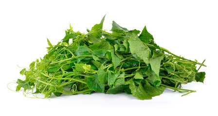 Bitter gourd on white background