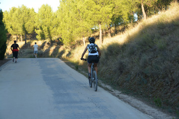 Fototapeta premium ruta en bicicleta por el campo