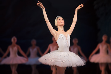Prima ballerina white swan - obrazy, fototapety, plakaty