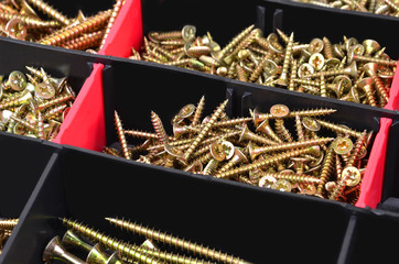 Screw mix in plastic organizer box, DOF