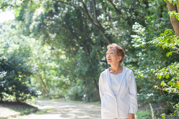 森の中を歩く高齢の日本人女性
