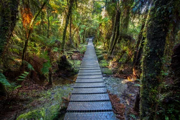 Crédence de cuisine en verre imprimé Nouvelle-Zélande sentier pédestre dans la forêt tropicale de montagne au lac matheson important