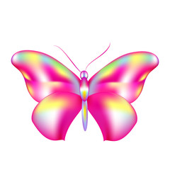 butterflies design