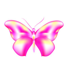 butterflies design