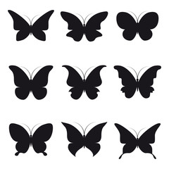 butterflies design