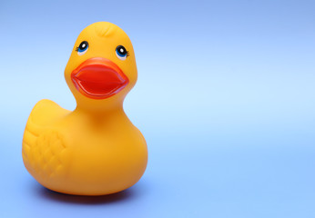 Rubber Ducky