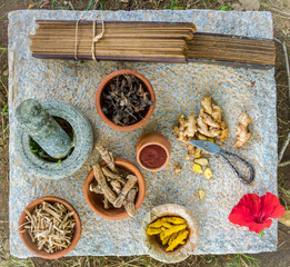 Traditional ayurvedic herbs and spices, along with  a pestle and mortar and an ancient manuscript on Indian medicine.