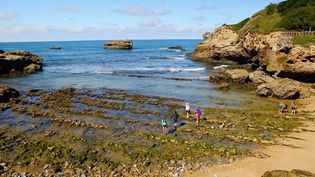 Foot fishing at low tide, Basta rock of Biarritz -21 of september 2015