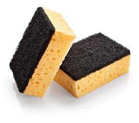 Kitchen sponges