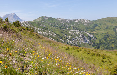 Fototapeta na wymiar Typical view of the Swiss alps