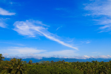 Fototapeta na wymiar green mountains, tree and blue sky background