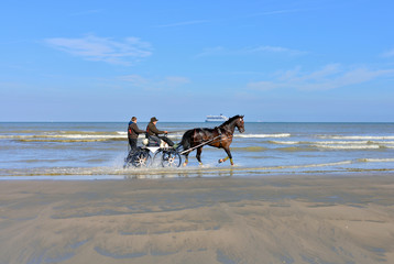 attelage sur la plage