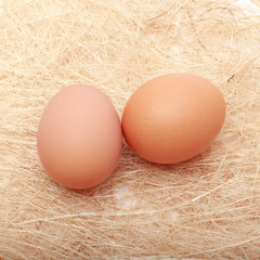 Golden egg in a makeshift nest. On a white background.