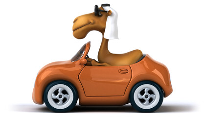 Obraz premium Fun camel