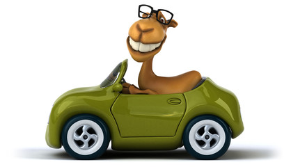 Fun camel