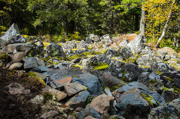 Большие камни во мху на земле