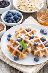 delicious waffles for breakfast on a plate, vertical