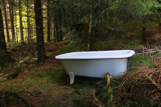 Bath tub in the forest