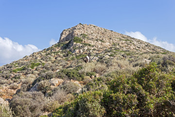 Fototapeta na wymiar Mediterranean scrub on a mountain of Crete
