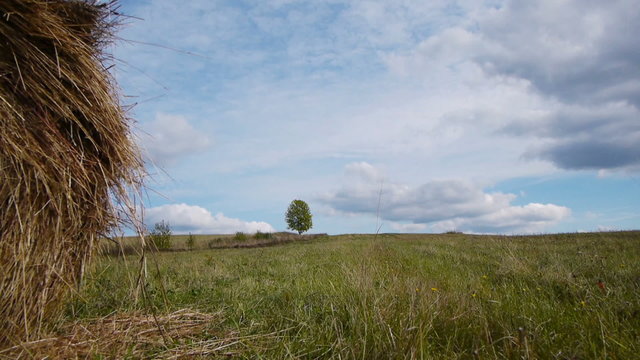 Slider shot of hay bales field against lone tree
