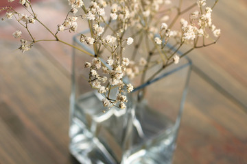 Dried flowers in vase on wooden background
